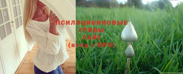 гидропоника Новодвинск