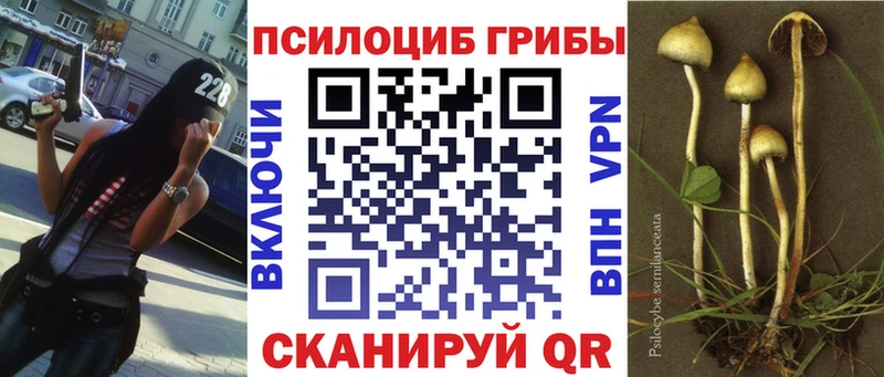 Галлюциногенные грибы прущие грибы Первоуральск