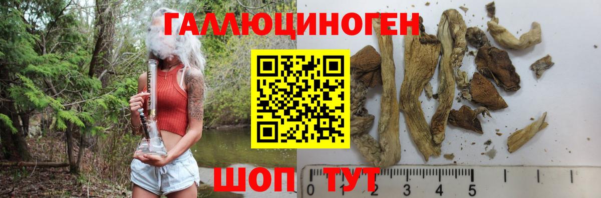 где можно купить   Галлюциногенные грибы ЛСД  Вход с VPN  Первоуральск 